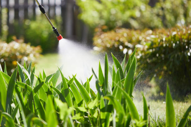 24/7 Emergency Mosquito Control experts in West Little River, FL
