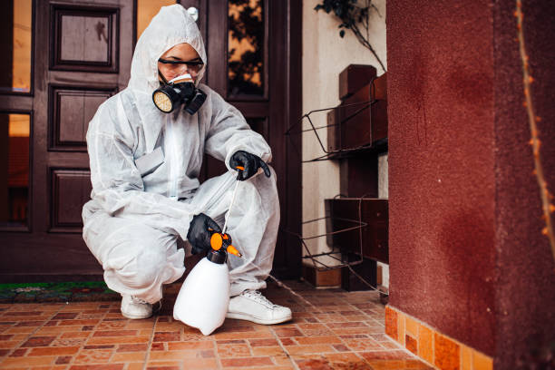 Reliable Mosquito Control contractor in West Little River, FL by Show Me Pest Control